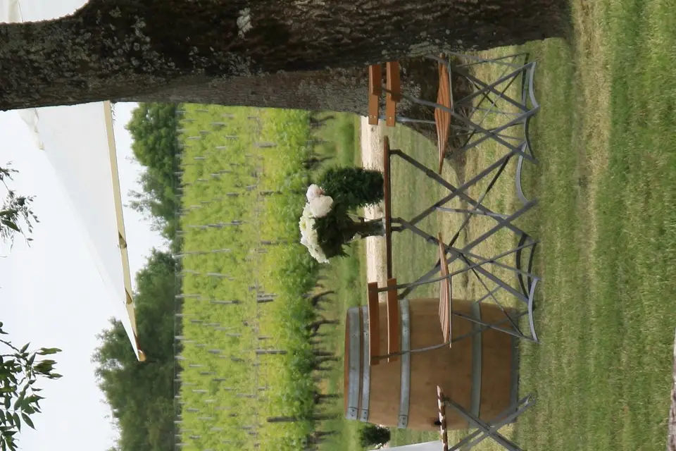 DisMoiOui Bordeaux — photo 8