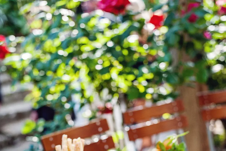 Les Méjeonnes — photo 4