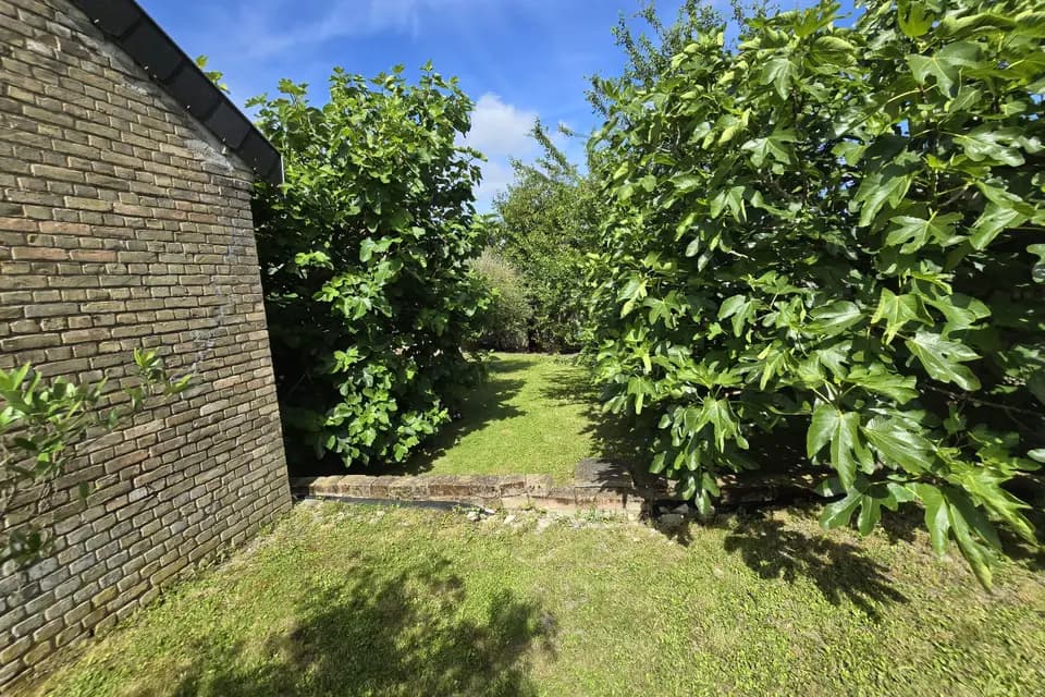 Villa Santina — photo 6