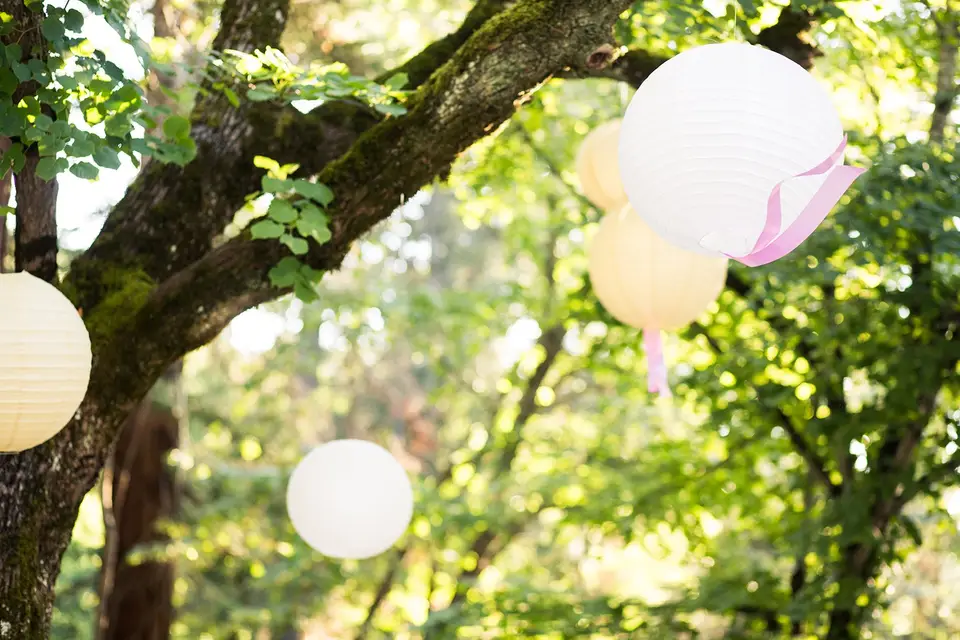 Château de Mont Vert — photo 4