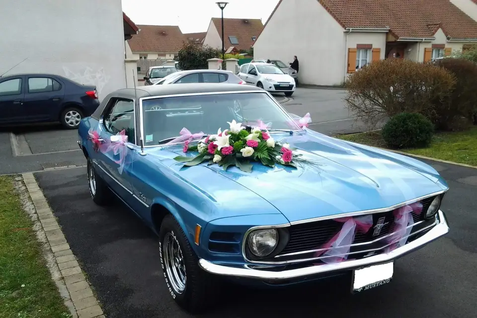 Mustang Légend — photo 6