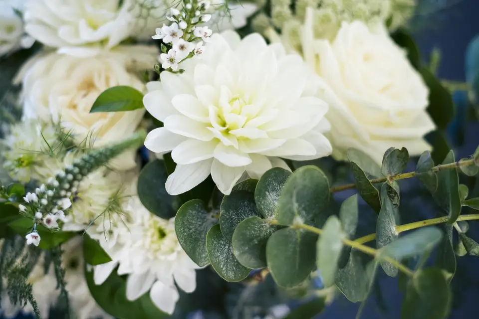 Lucky You Events — photo 2