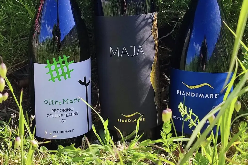 Vino Caudan — photo 8