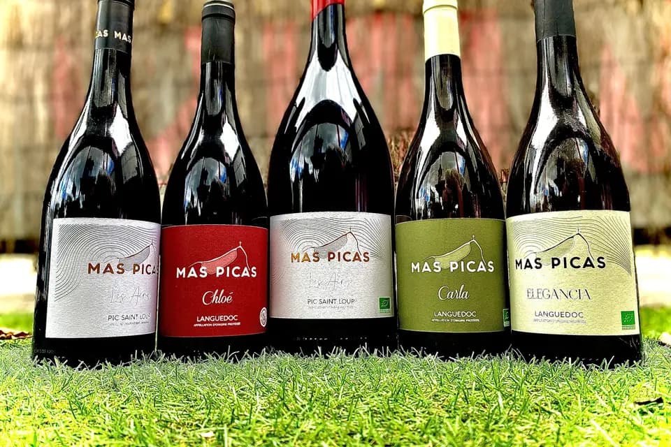 Vino Caudan — photo 5