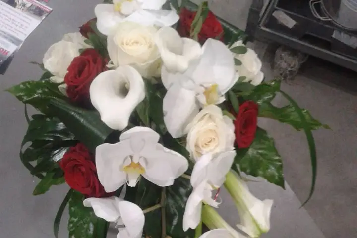 Fleurs de l'Ain — photo 6