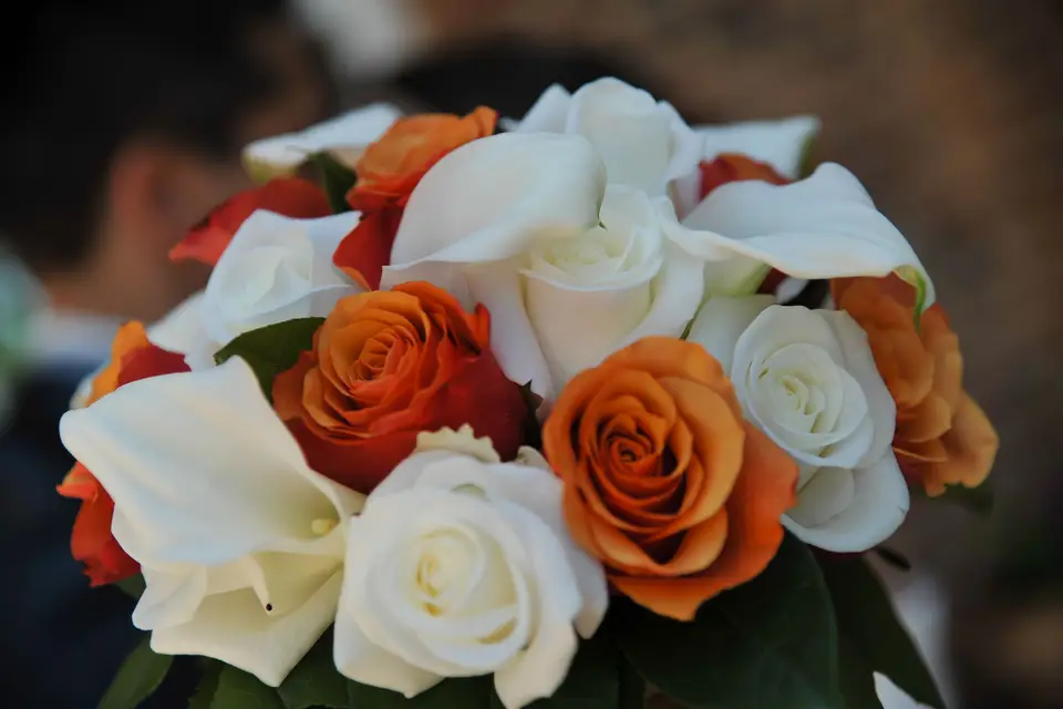 Fleurs de l'Ain — photo 8