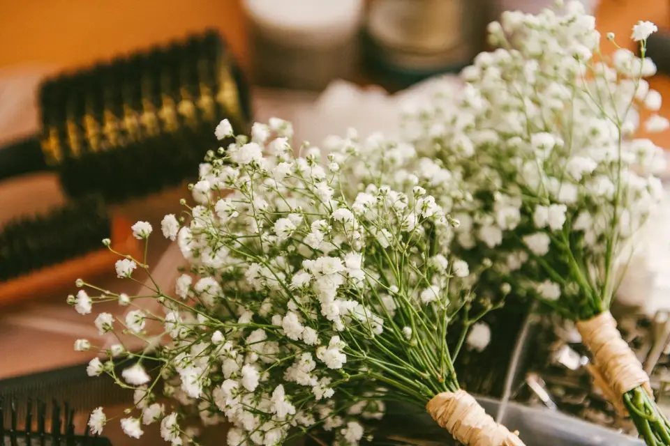 Etoiles d'un Jour — photo 4