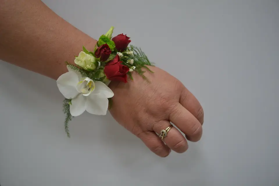 Les Serres de l'Enclos — photo 1