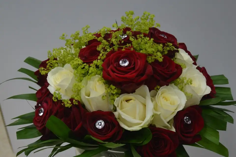 Les Serres de l'Enclos — photo 7