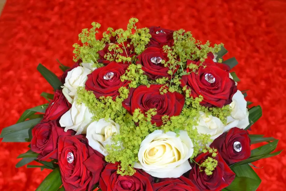 Les Serres de l'Enclos — photo 8