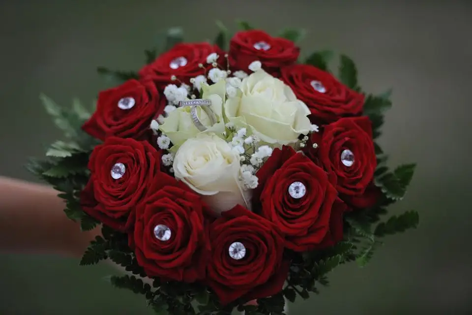 Les Serres de l'Enclos — photo 4