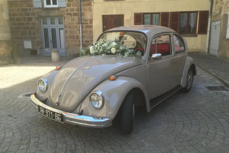 Loc_Cox_63 — photo 5