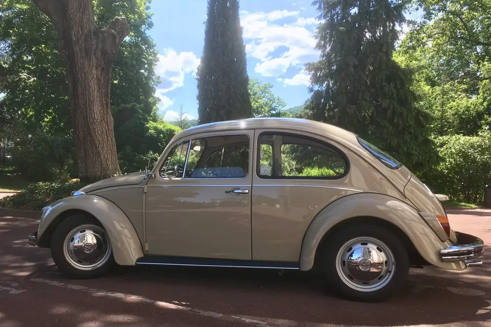 Loc_Cox_63 — photo 2