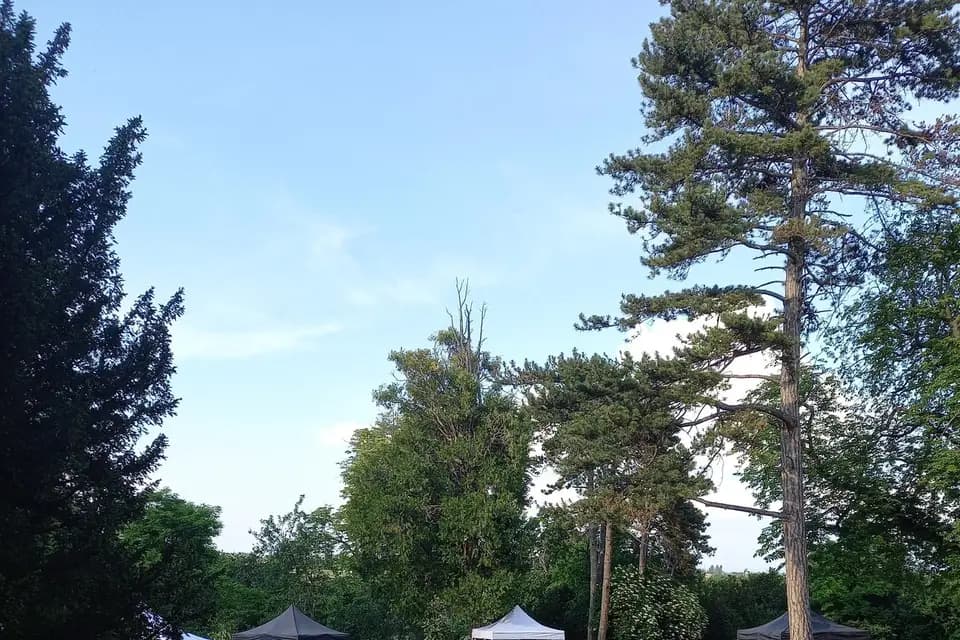 Château de Bourrassol — photo 2