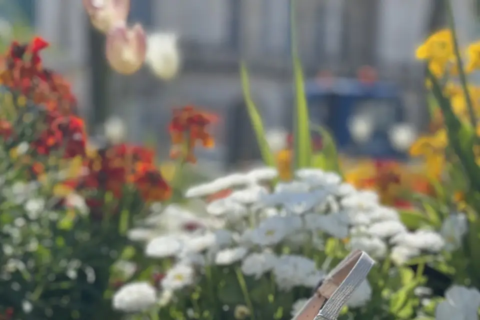 Intuitive — photo 7