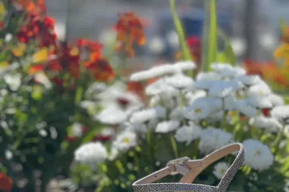 Intuitive — photo 8