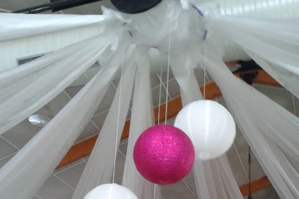 Osmose Animation — photo 8