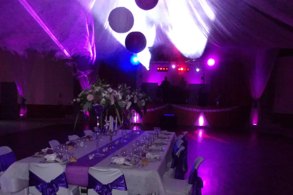 Osmose Animation — photo 7