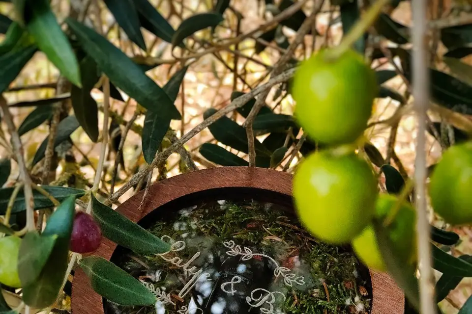 JM Vidéoprod — photo 2