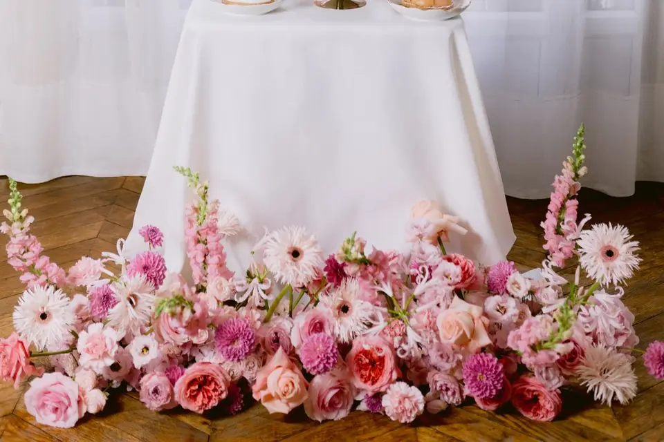 Meraki Studio — photo 1