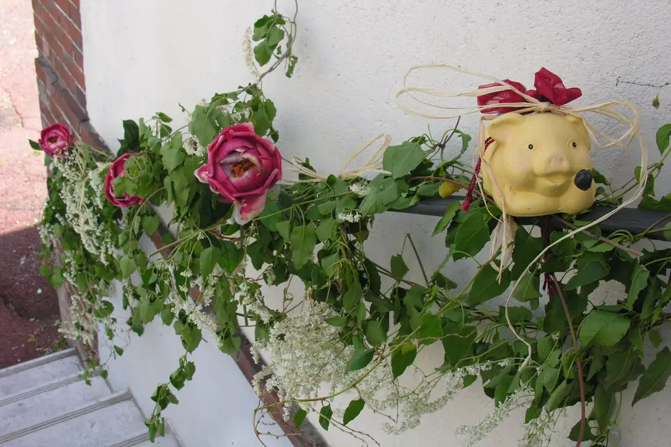 Lily Event Passion — photo 1