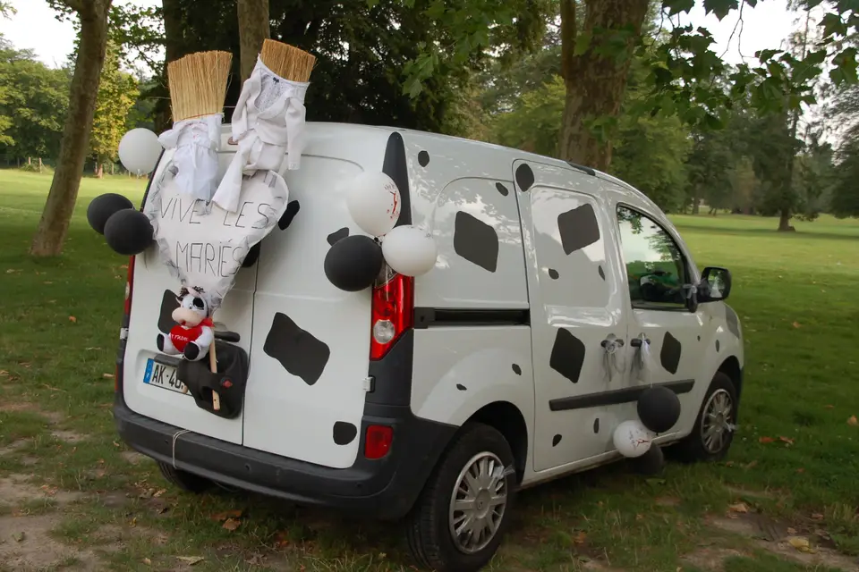 Lily Event Passion — photo 2