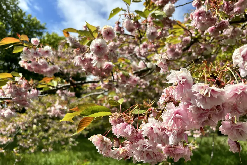 Le Grand Domaine — photo 8