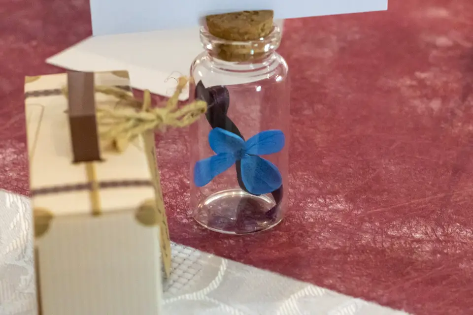 CKazari Photo — photo 1