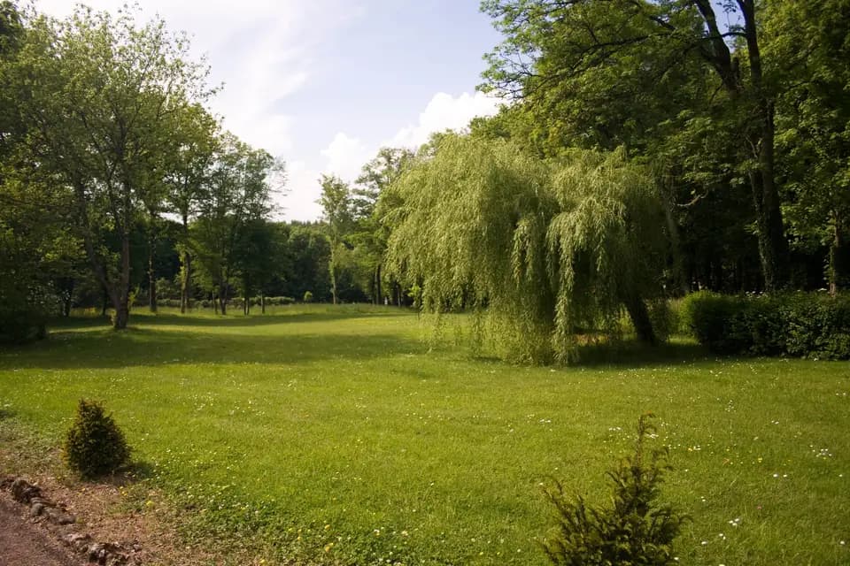 Château de Coutivert — photo 3