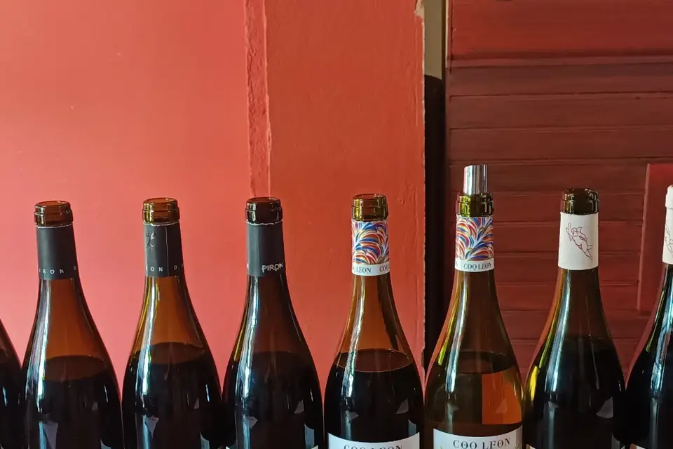 La cave à Clément — photo 8