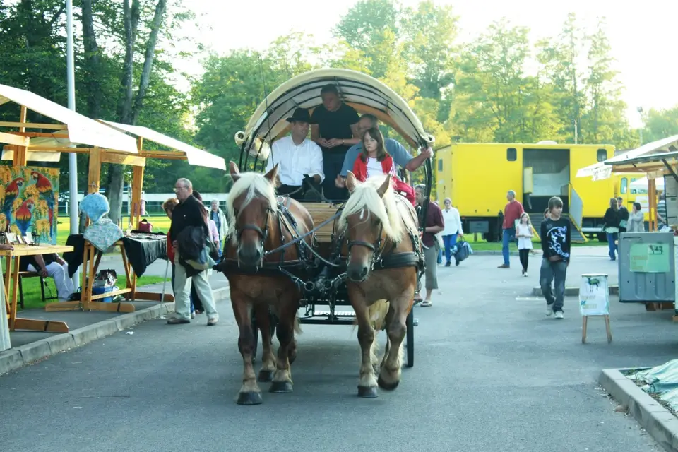 Ecurie du Pramier — photo 4