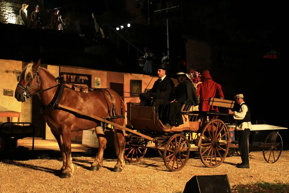 Ecurie du Pramier — photo 5