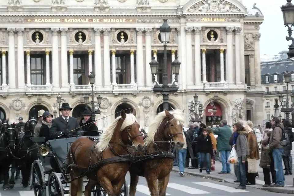 Ecurie du Pramier — photo 2