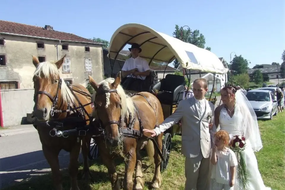 Ecurie du Pramier — photo 1