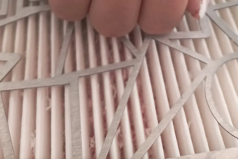 La Pause Beauté d'Elo — photo 6