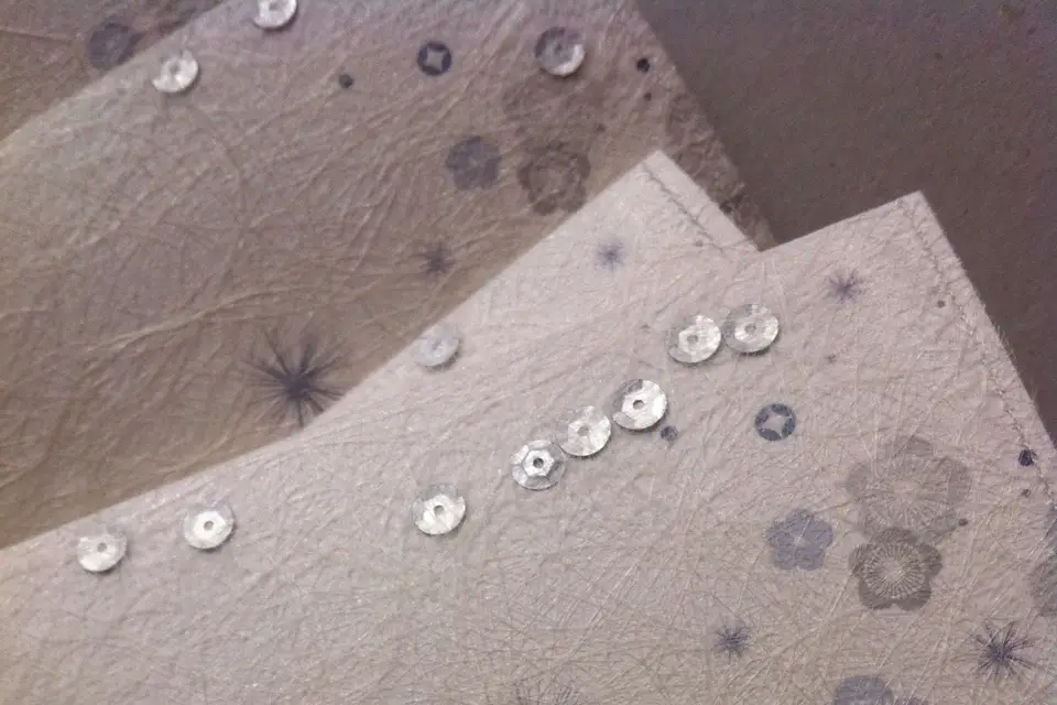 Anisette Design — photo 1