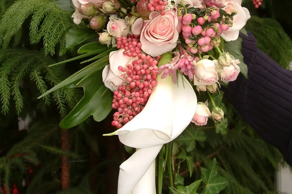 Aurélie et Jean-François Chatel — photo 5