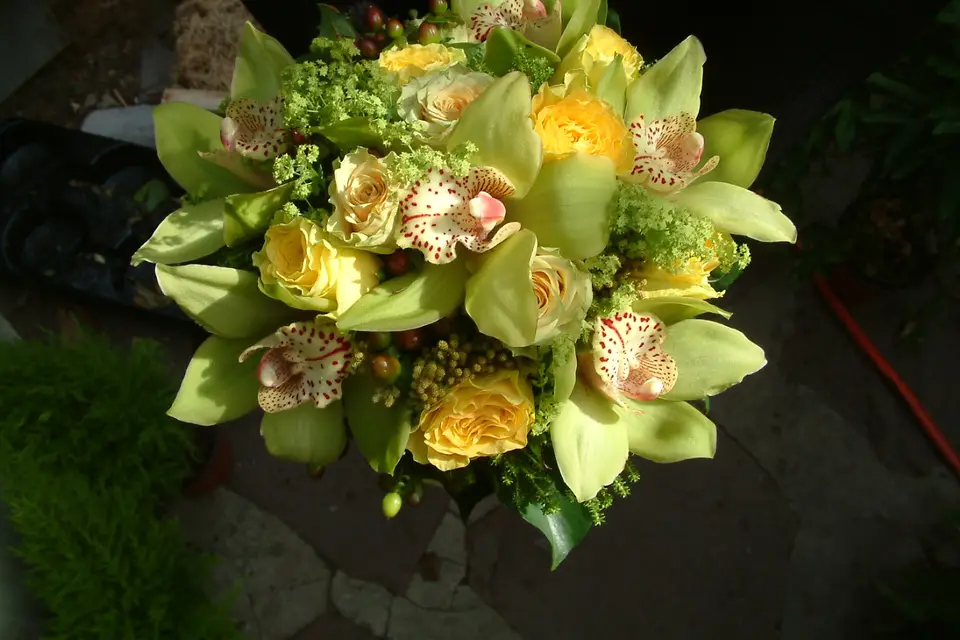 Aurélie et Jean-François Chatel