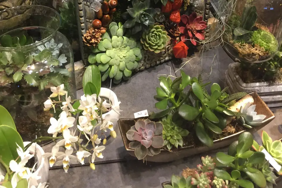 Aurélie et Jean-François Chatel — photo 1