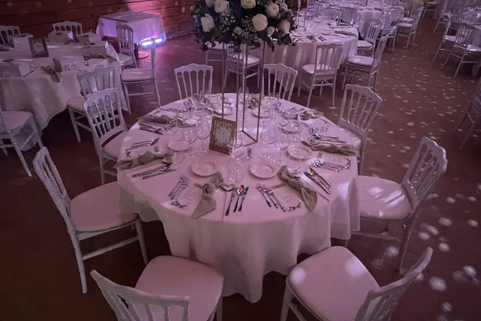 TzigBand — photo 8