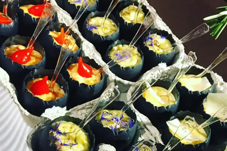 The Dish — photo 6