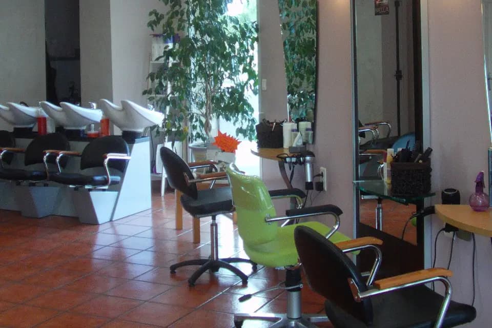 Alizé Coiffure — photo 3