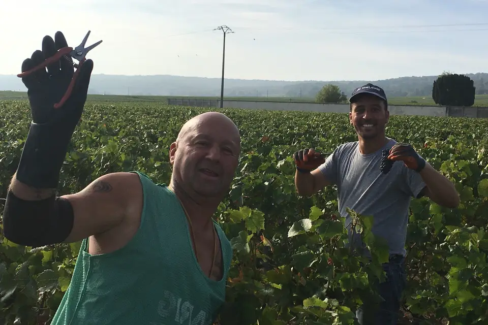 Champagne Veuve Maurice Lepitre — photo 8