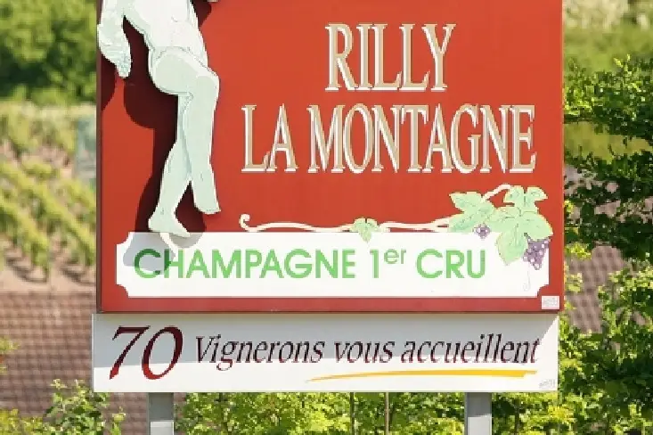 Champagne Veuve Maurice Lepitre — photo 7