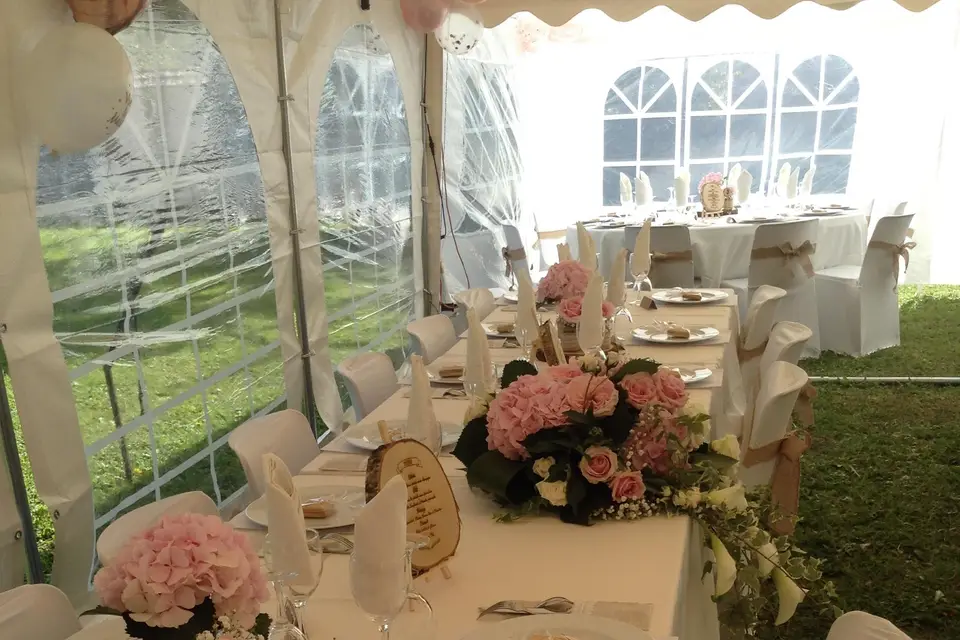 Rose de Vigne — photo 4