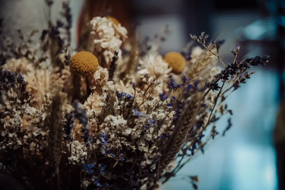 Sarah Teuma-Tilche Photographe — photo 8