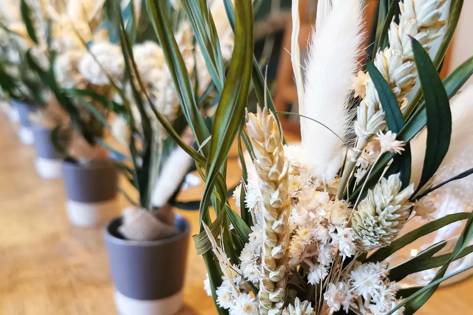 Le jardin des immortelles — photo 6