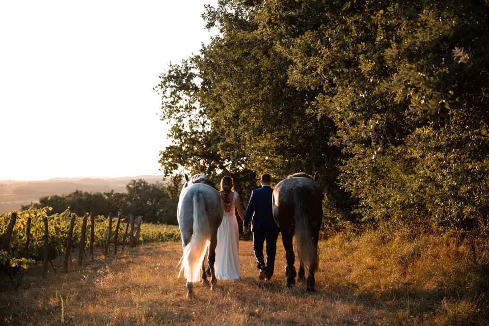 Studio Lopi Vidéo — photo 2