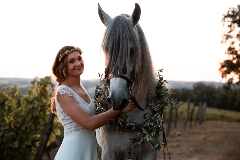 Studio Lopi Vidéo — photo 1