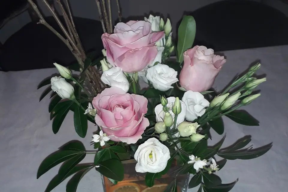 SC Créations — photo 8